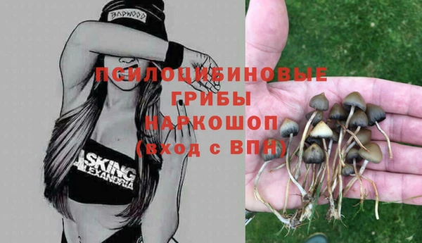кокс Балабаново