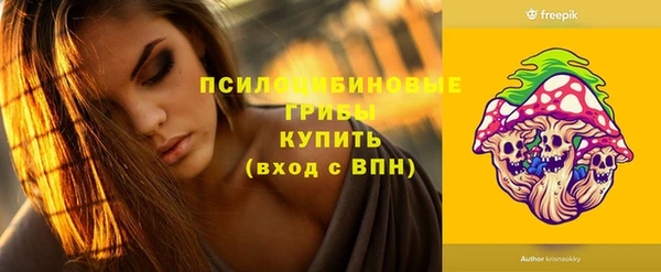 кокс Белокуриха